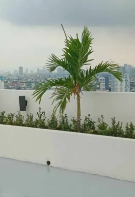 ibc-landscaping-2