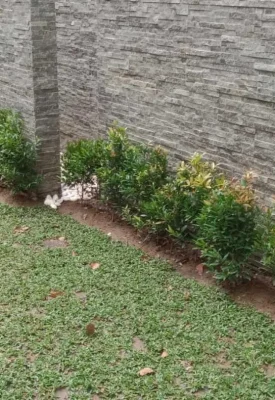 ibc-landscaping-4