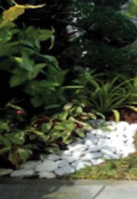 ibc-landscaping1.webp